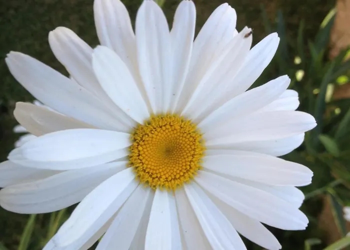 カントリーハウス Rural Robles ハランディージャ・デ・ラ・ベラ